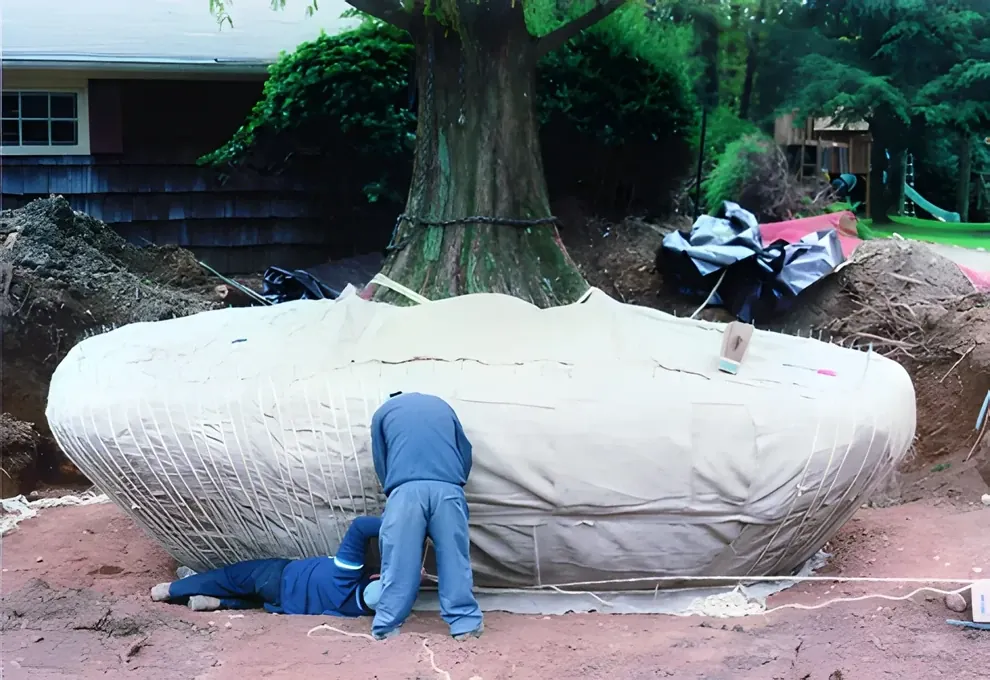 Planting large trees