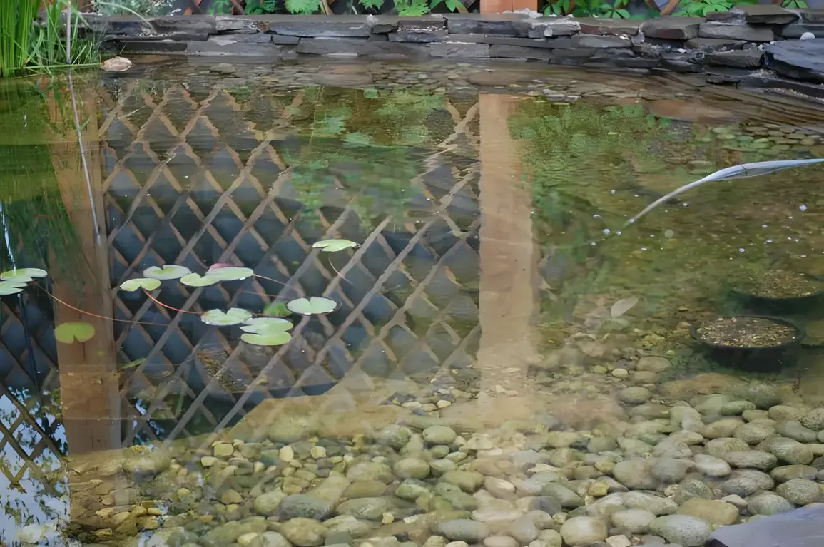 Garden detail